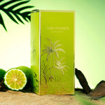 Oud Holidays EDP 100ml by Pendora Scents - Unisex - EDP - 100ml