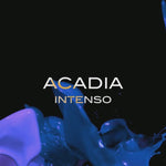 Acadia Intenso by Emir - parfum arabesc barbati - EDP 100 ml