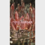 Papillon Des Vents by Paris Corner - parfum arabesc dama - EDP 100 ml