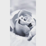 Souvenir Floral Bouquet by Afnan - parfum arabesc femei - EDP 100 ml